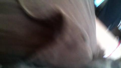 7384